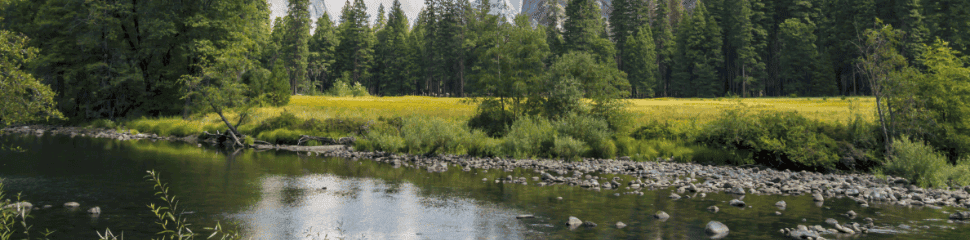 National Park Foundation 